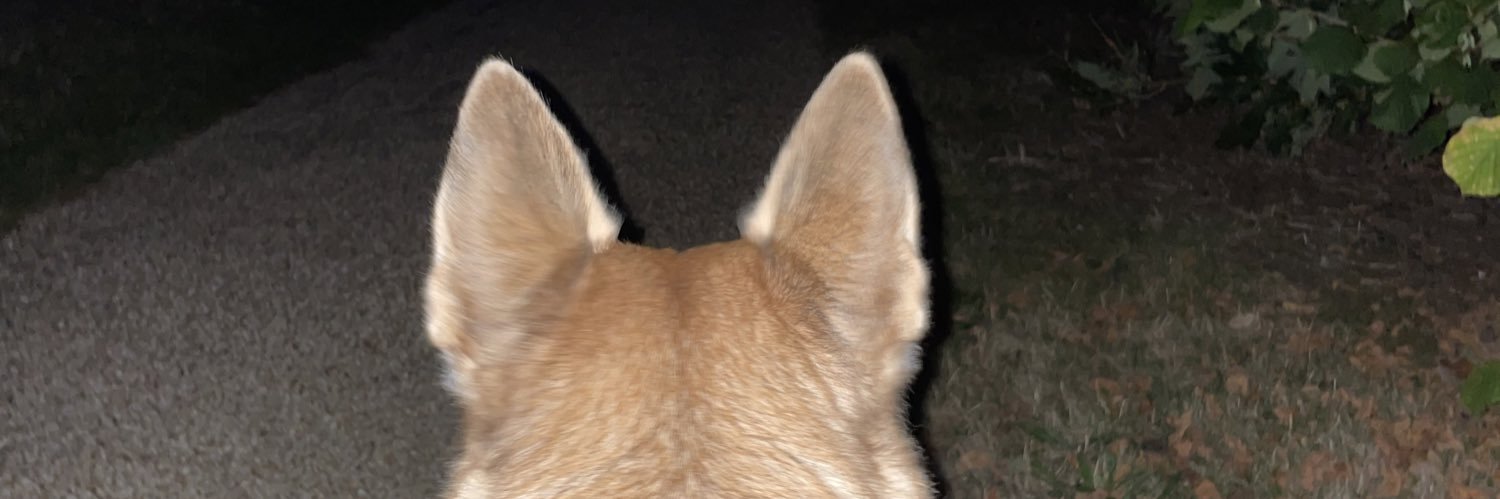 dom240288's profile banner image