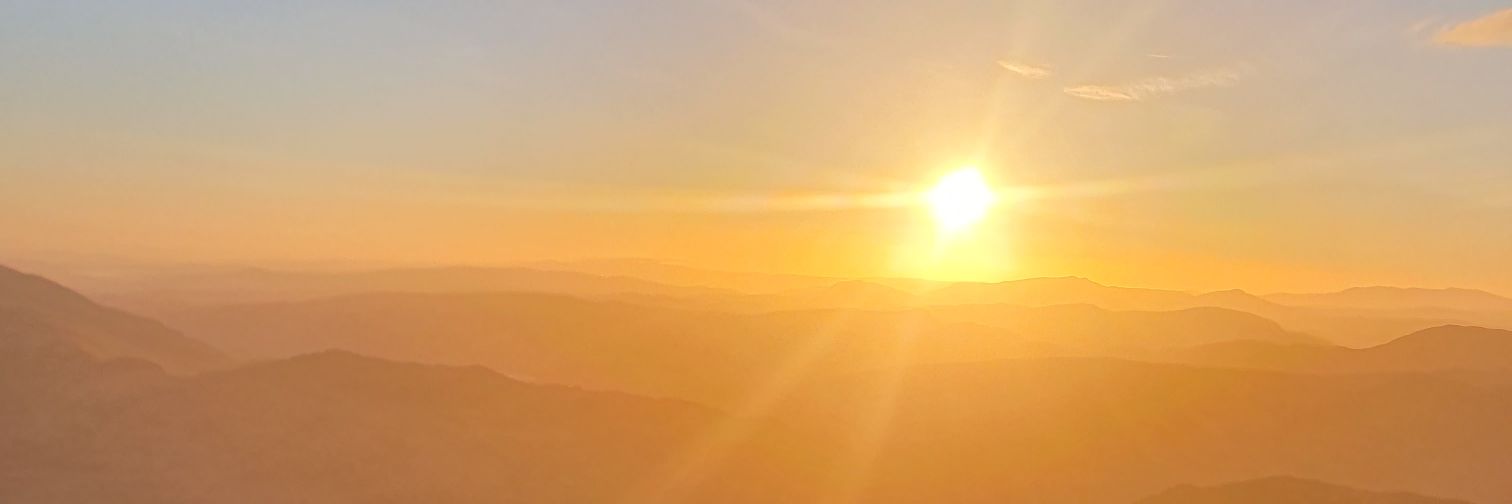 AshFox11's profile banner image