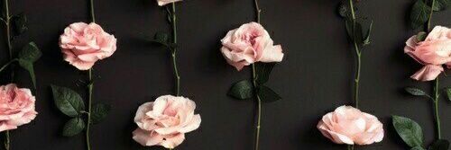yooenbora's profile banner image
