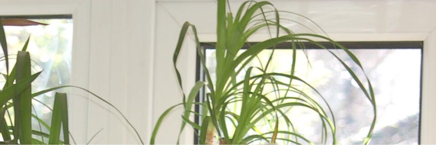 tittyturmoil's profile banner image