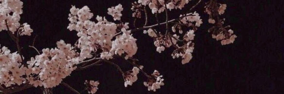 seikirro's profile banner image