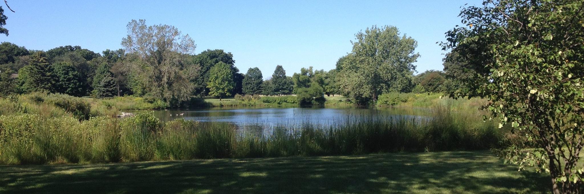 WaubonseeLife's profile banner image