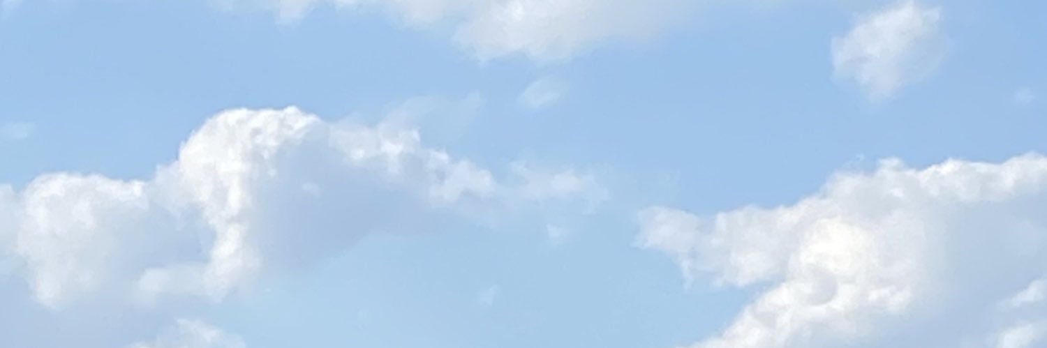 DitusaChelsea's profile banner image
