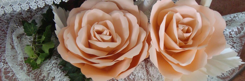 Eventidicarta's profile banner image