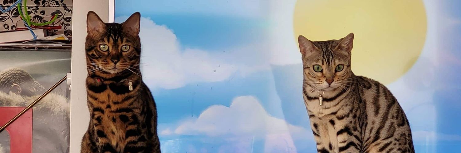 Ásta Heiðrún Elísabet banner