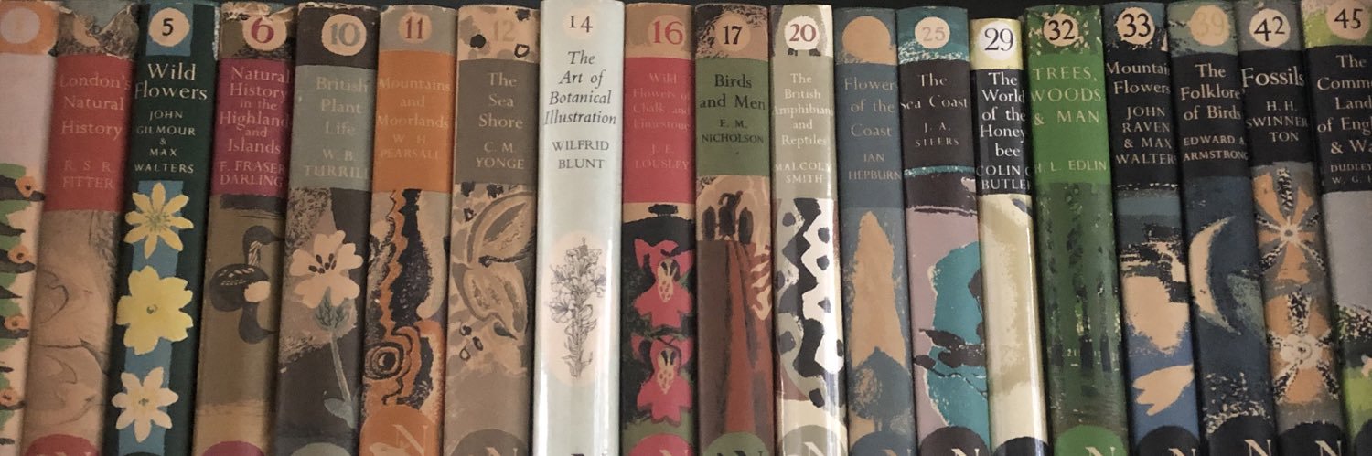 Emily MacDonald banner