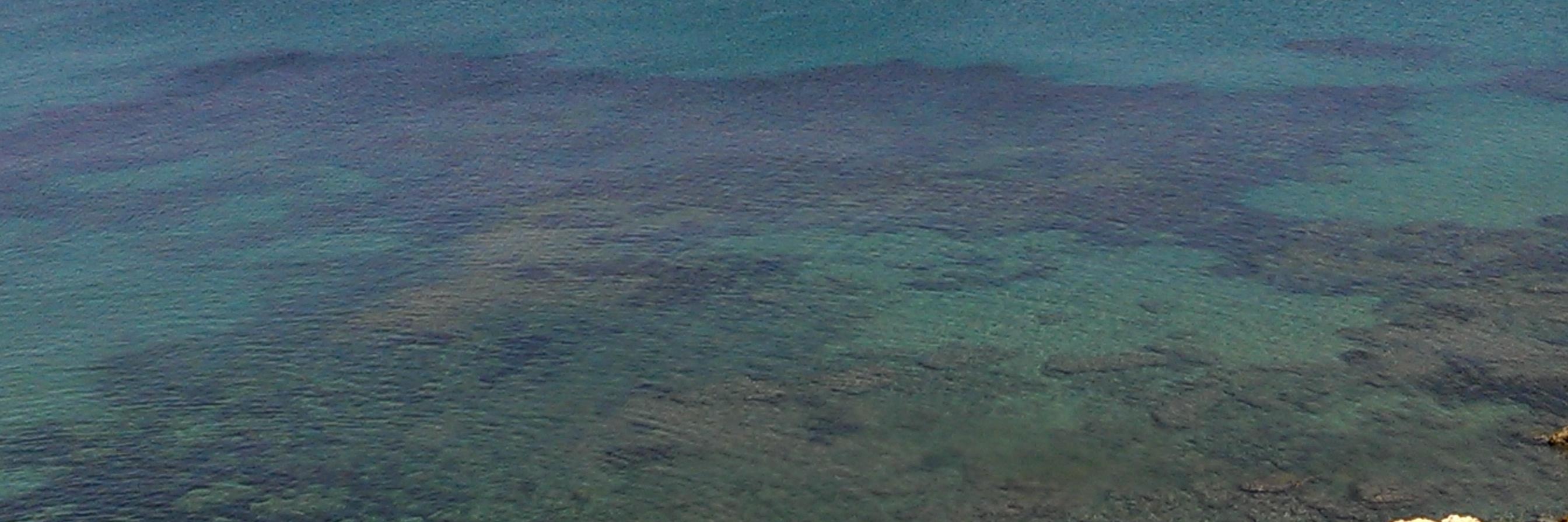 Olivier Labbé banner