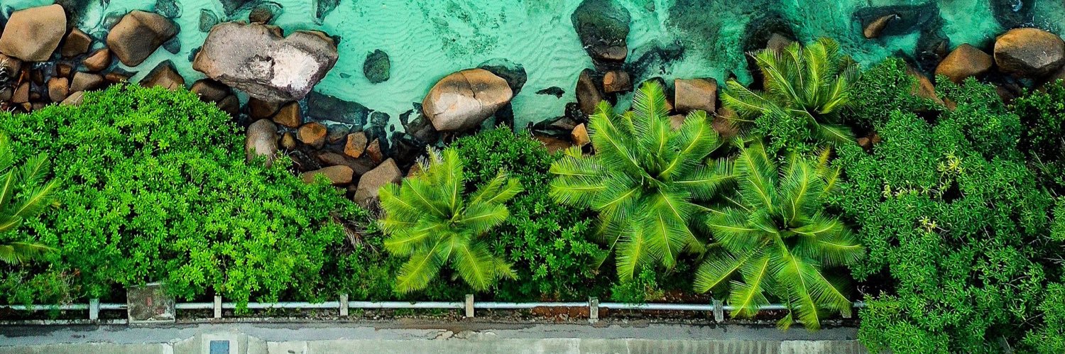 W E L S H ♥️♠️ banner