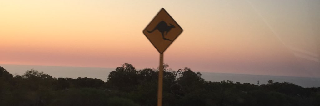 ShakerBone's profile banner image