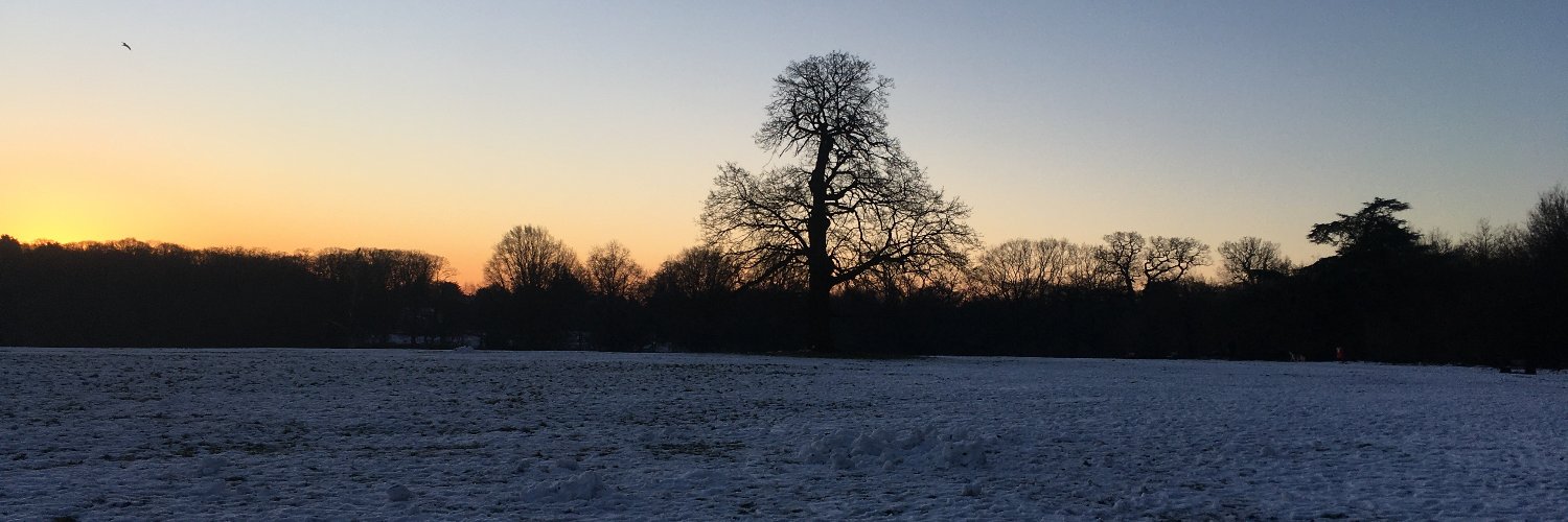_tararowe's profile banner image