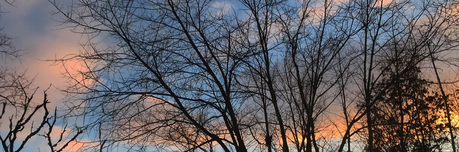 stefaniabc_'s profile banner image