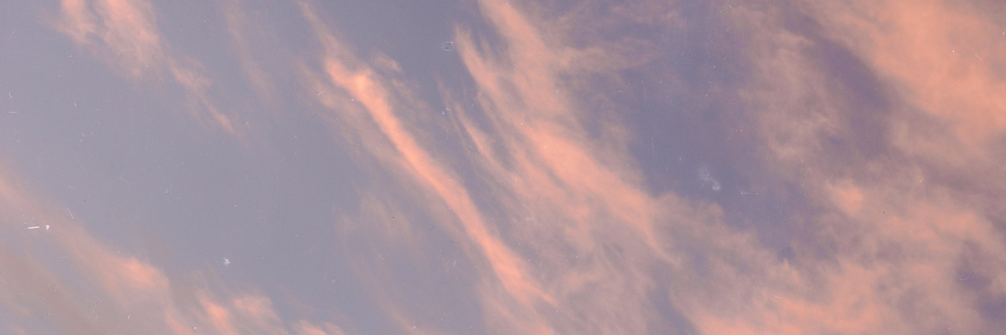 wilbakerr's profile banner image