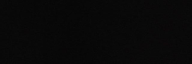 Holly banner
