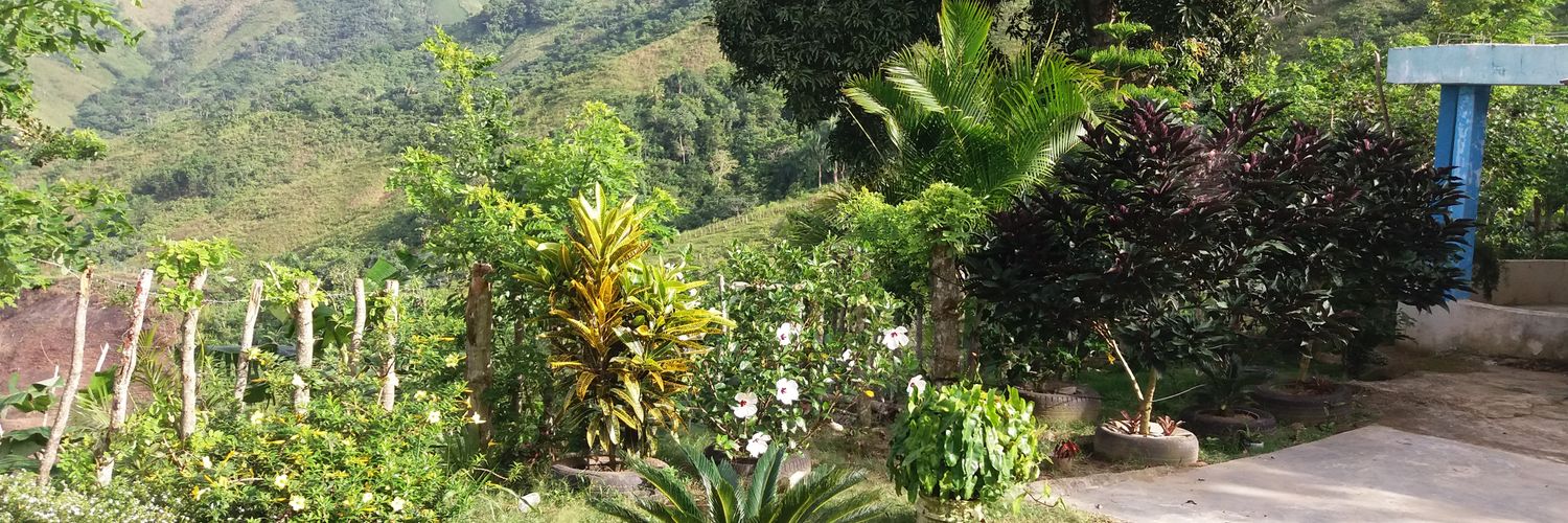 amiguelInoa's profile banner image