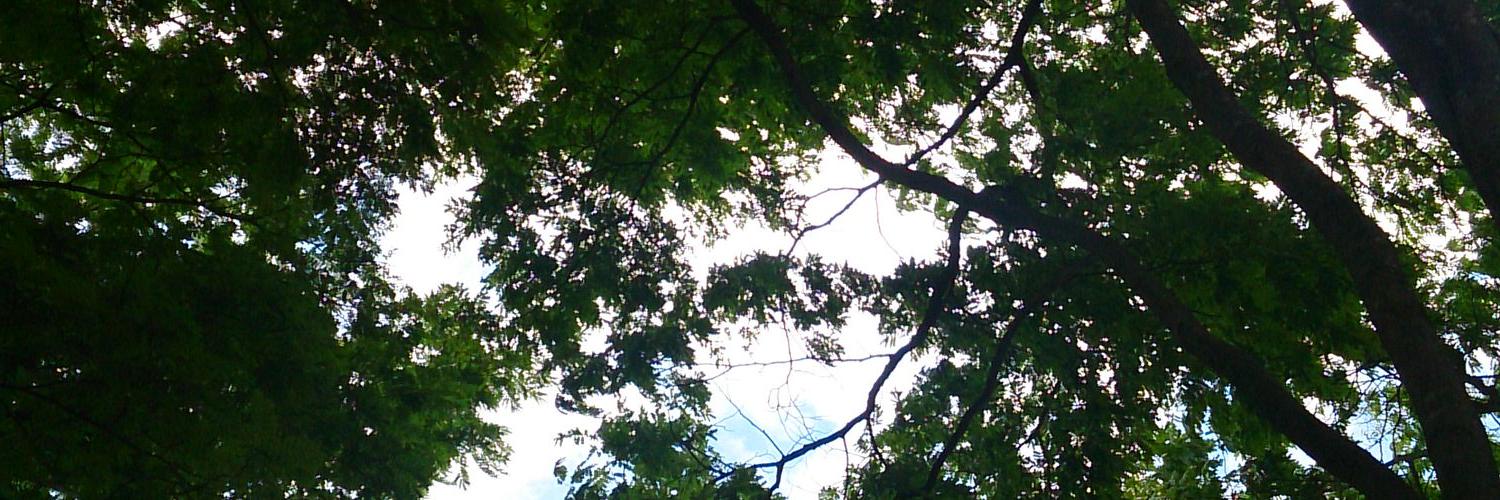 Iny0ws2's profile banner image