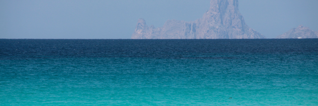 💛 Txell Camps 💛 banner