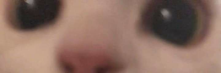 xvxscrub's profile banner image