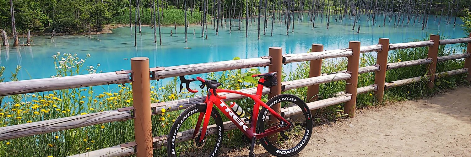 ポテチキン banner