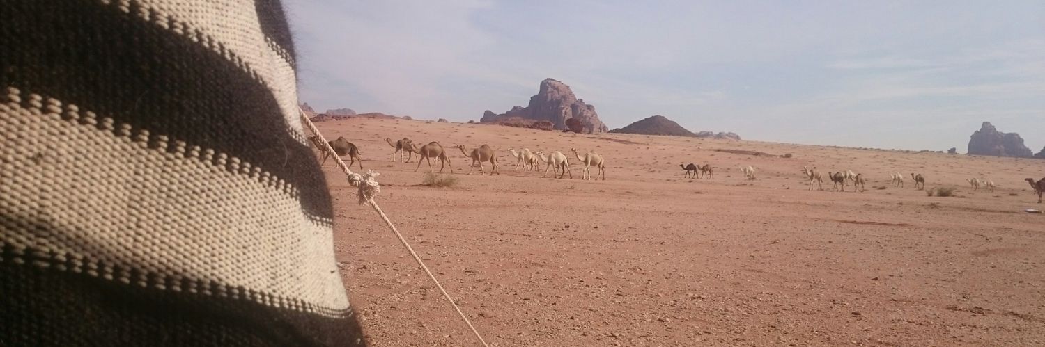 ntabuk2's profile banner image
