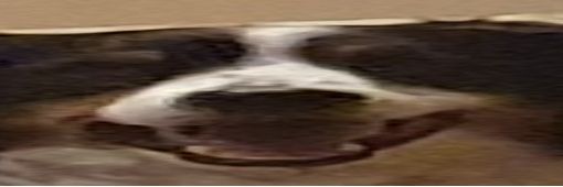 KornyDogs's profile banner image