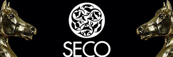 Seco_Goldsmith's profile banner image