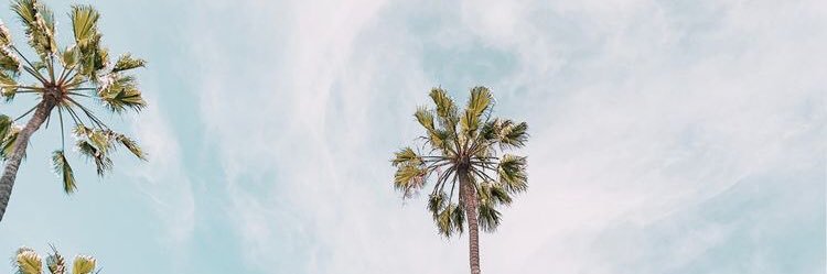 isabelamarquet's profile banner image