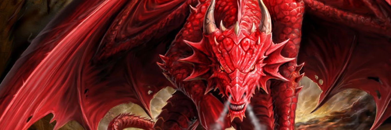 Drac219's profile banner image