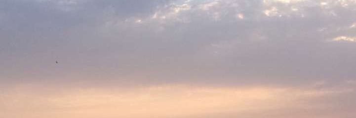 rehaappp's profile banner image