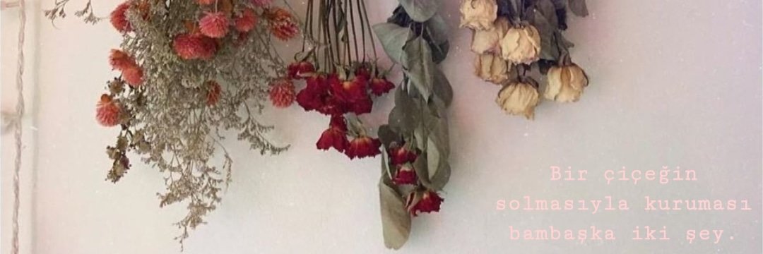 BenguYakin's profile banner image
