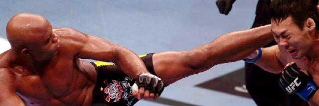 Anderson Spider ENG banner