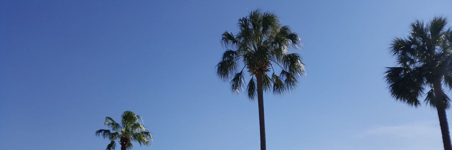Vera banner