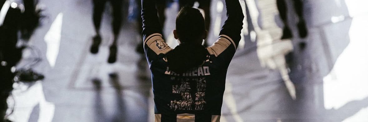 pedrocastro23's profile banner image