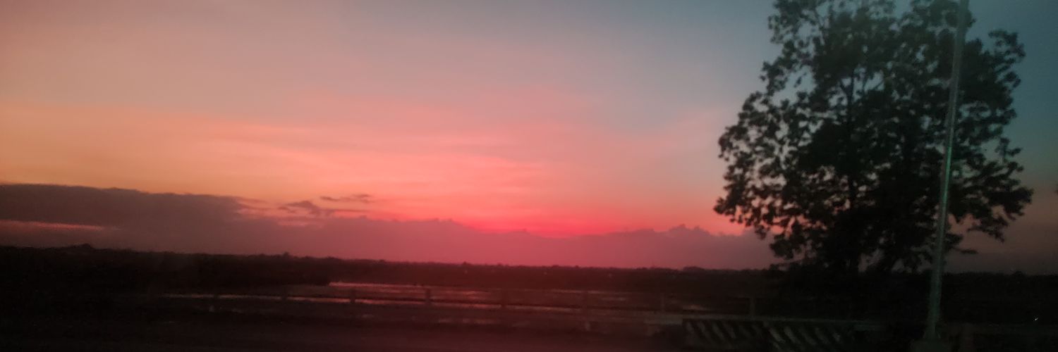 __lyks's profile banner image