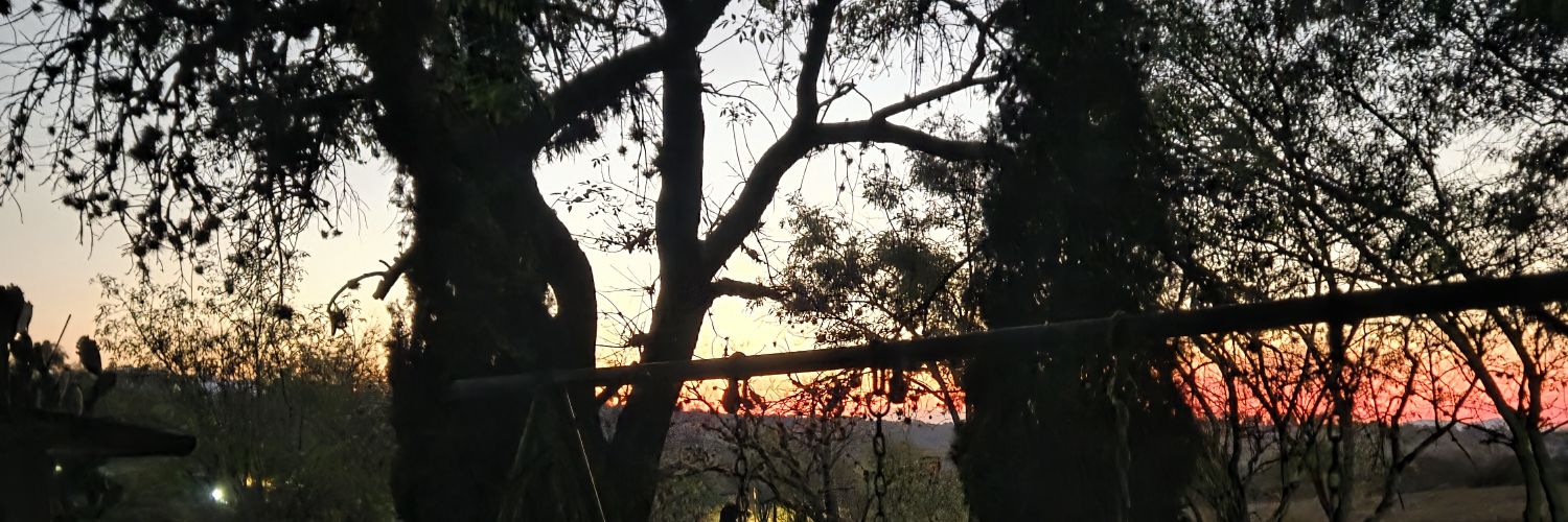 OlverRod's profile banner image