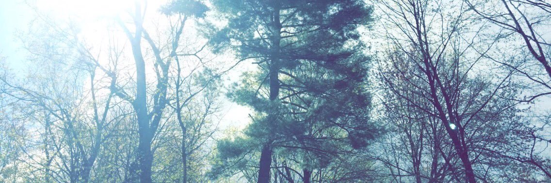 Luna_XVI's profile banner image