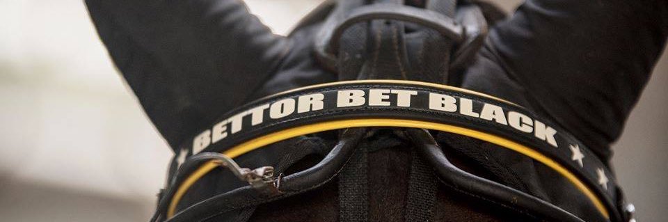 djmstables's profile banner image