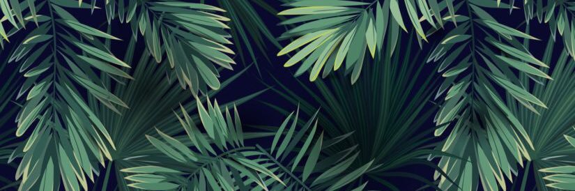 _MelanieeB's profile banner image