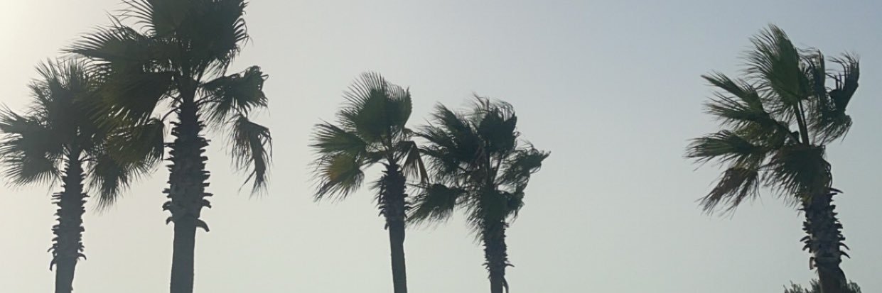 6llll3's profile banner image