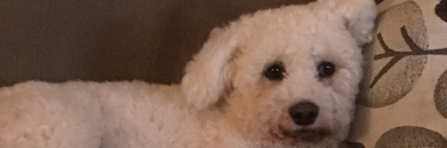 laniemul's profile banner image