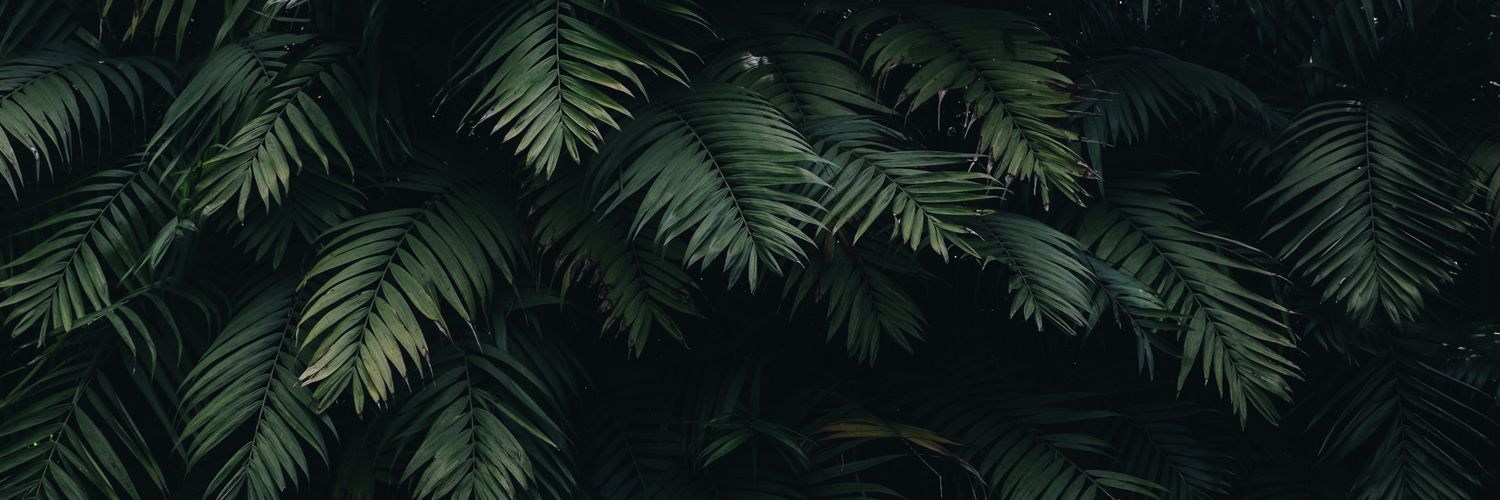 Francantonati_'s profile banner image