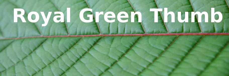 royalgreenthumb's profile banner image