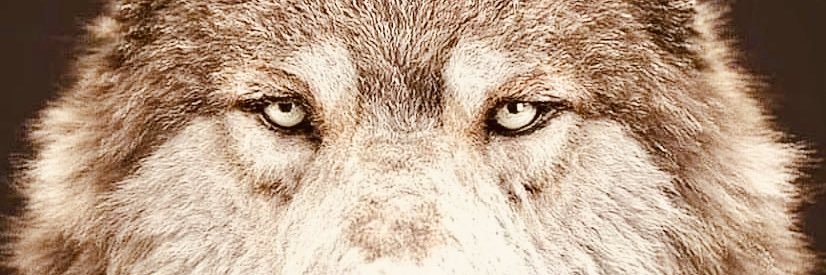 eNPire's profile banner image