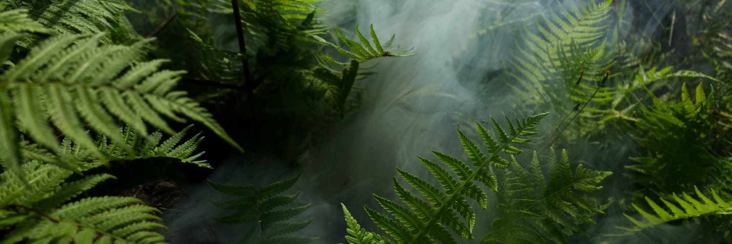 drjackbennett's profile banner image