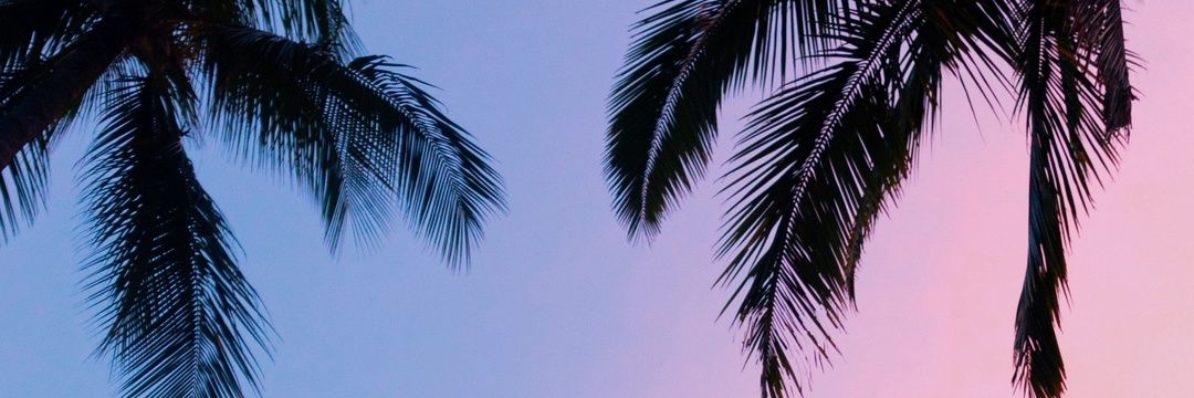 RYVNRXLEY's profile banner image