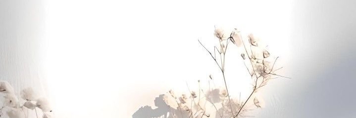 gabgvm's profile banner image