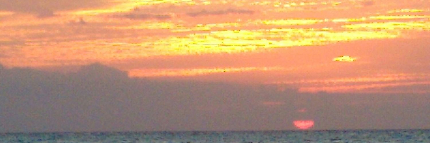 hcisnero's profile banner image