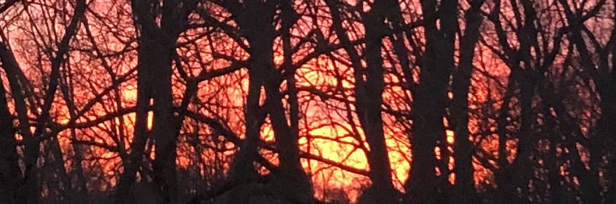 Joan Feamster🇺🇦☮️ banner