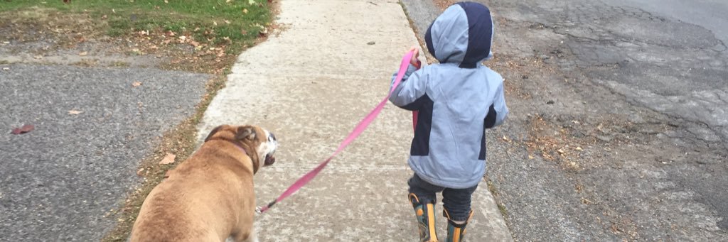 Carlie Butzer banner