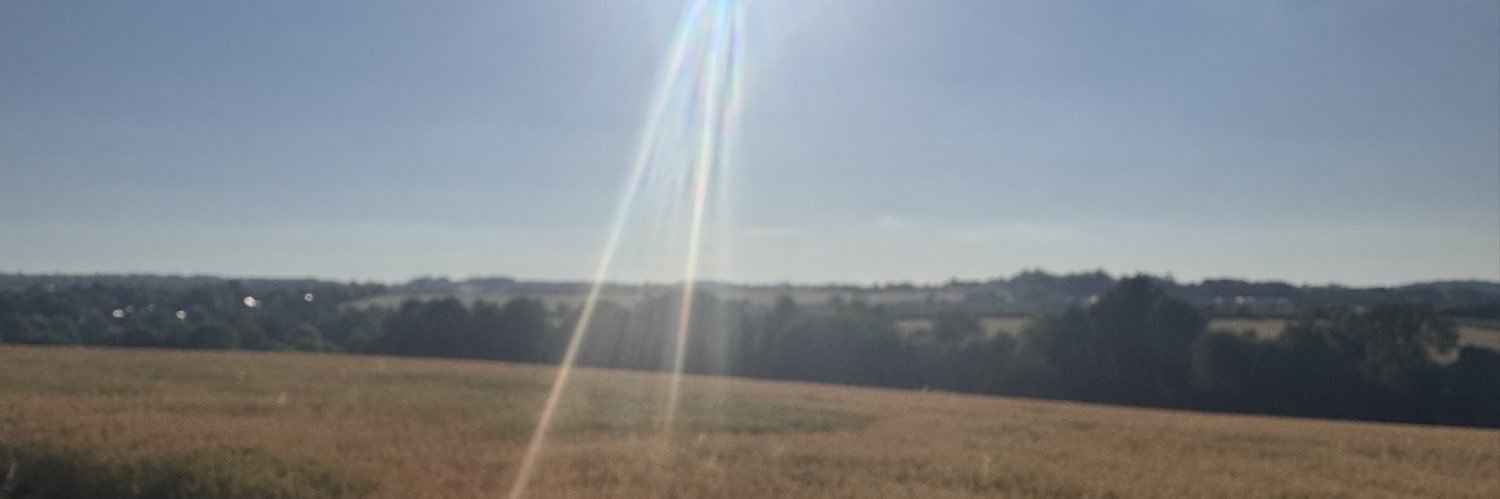 BespokePest's profile banner image