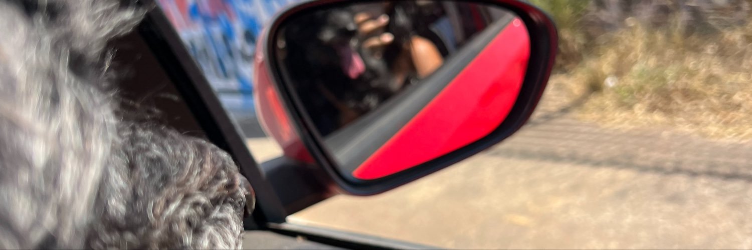 mxvwr's profile banner image